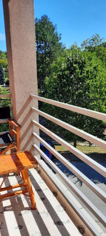 Apartman Lux Sneznik Vrnjačka Banja Eksteriør bilde